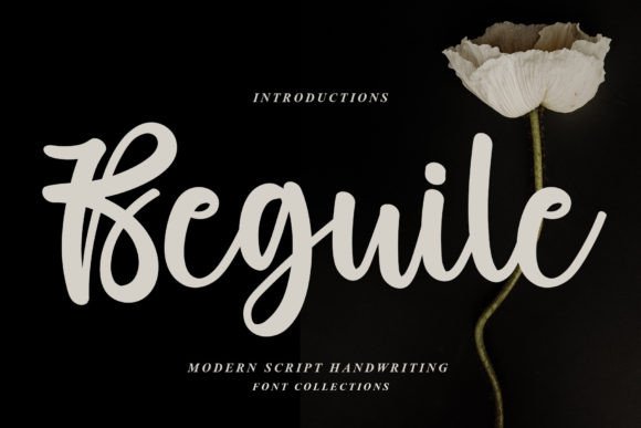 How the Beguile Font Helped My Brand Look More Polished