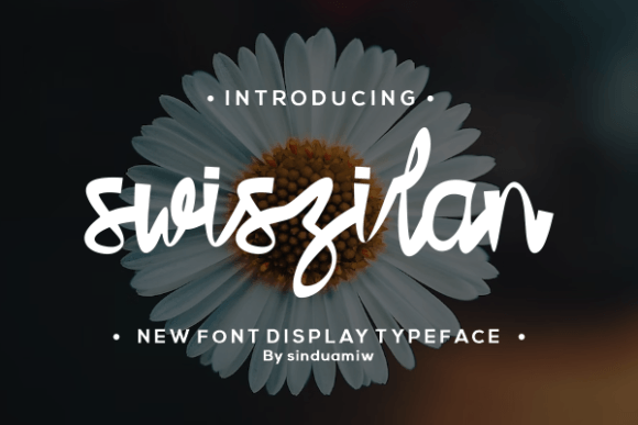 Swiszilan: A Handwritten Font That Brings Your Crafts to Life